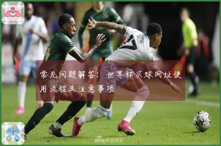 常见问题解答：世界杯买球网址使用流程及注意事项
