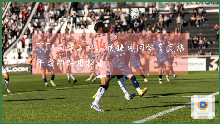 FIFA买球入口：便捷访问体育直播平台的实用指南