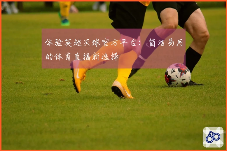 体验英超买球官方平台：简洁易用的体育直播新选择