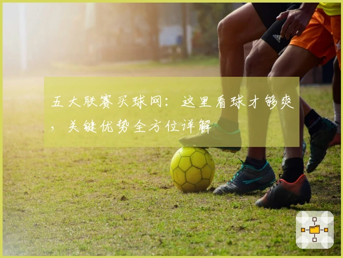 五大联赛买球网：这里看球才够爽，关键优势全方位详解