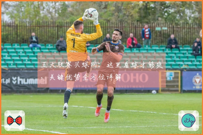 五大联赛买球网：这里看球才够爽，关键优势全方位详解