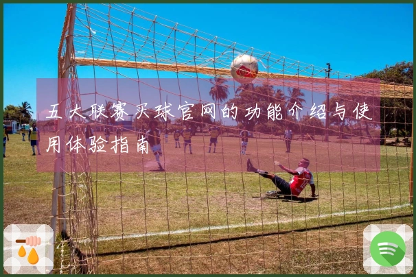 五大联赛买球官网的功能介绍与使用体验指南