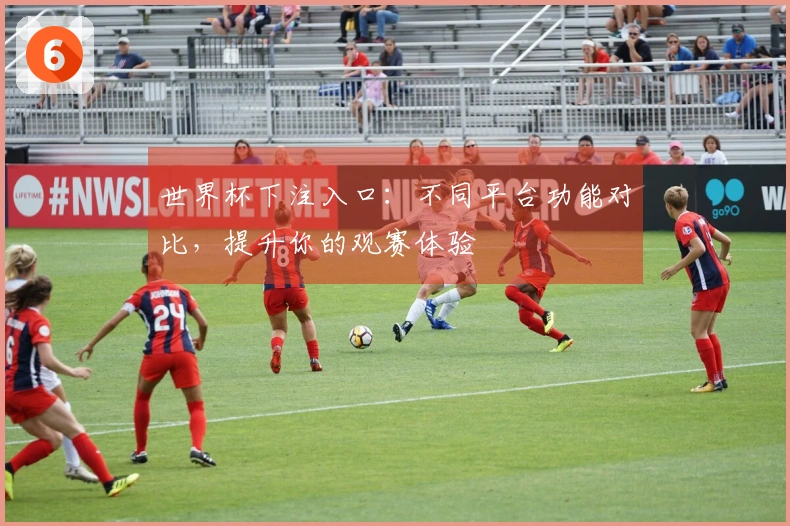 世界杯下注入口：不同平台功能对比，提升你的观赛体验