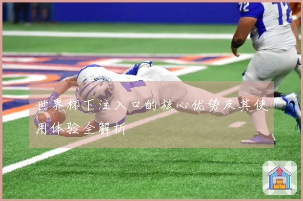 世界杯下注入口的核心优势及其使用体验全解析