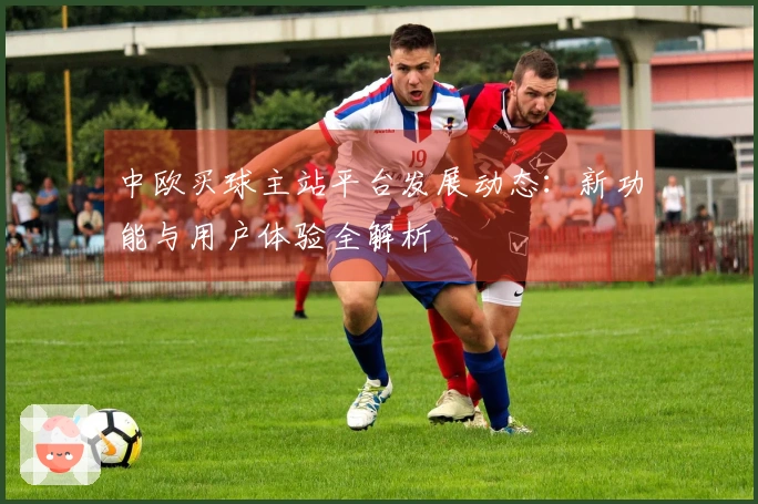 中欧买球主站平台发展动态：新功能与用户体验全解析