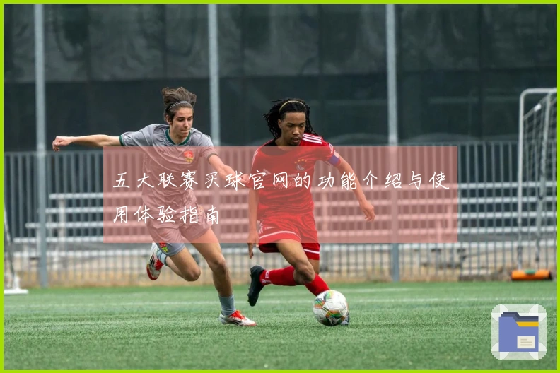 五大联赛买球官网的功能介绍与使用体验指南