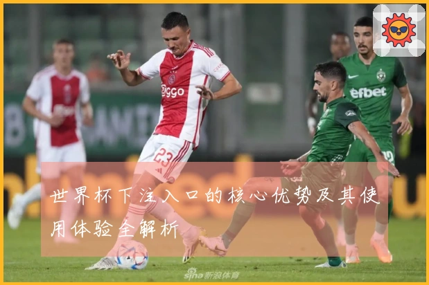 世界杯下注入口的核心优势及其使用体验全解析