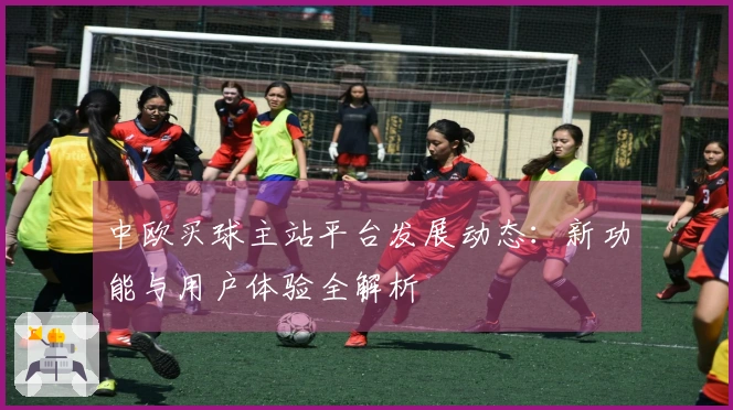 中欧买球主站平台发展动态：新功能与用户体验全解析