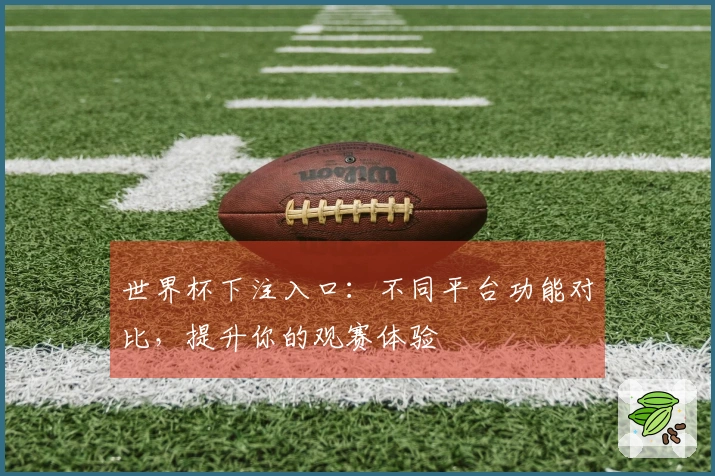 世界杯下注入口：不同平台功能对比，提升你的观赛体验